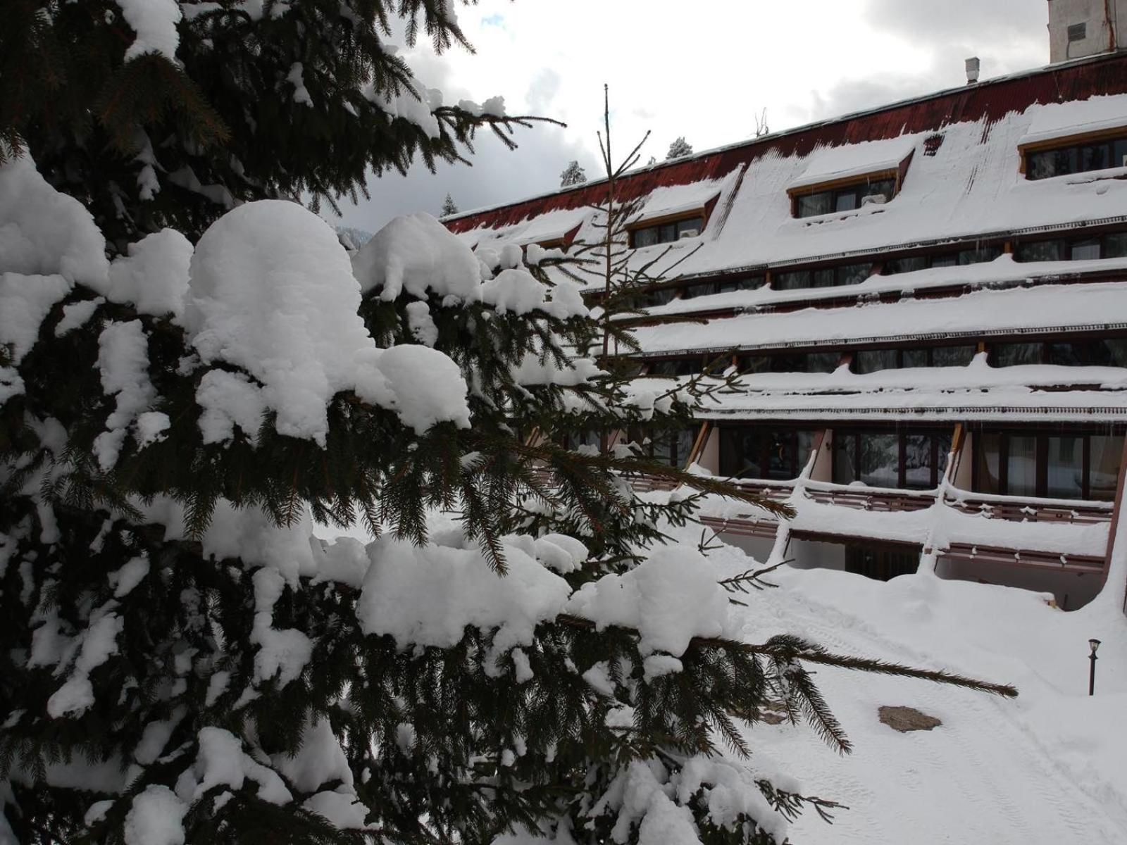 Mоura Boutique & Spa Hotel Borowec Zewnętrze zdjęcie